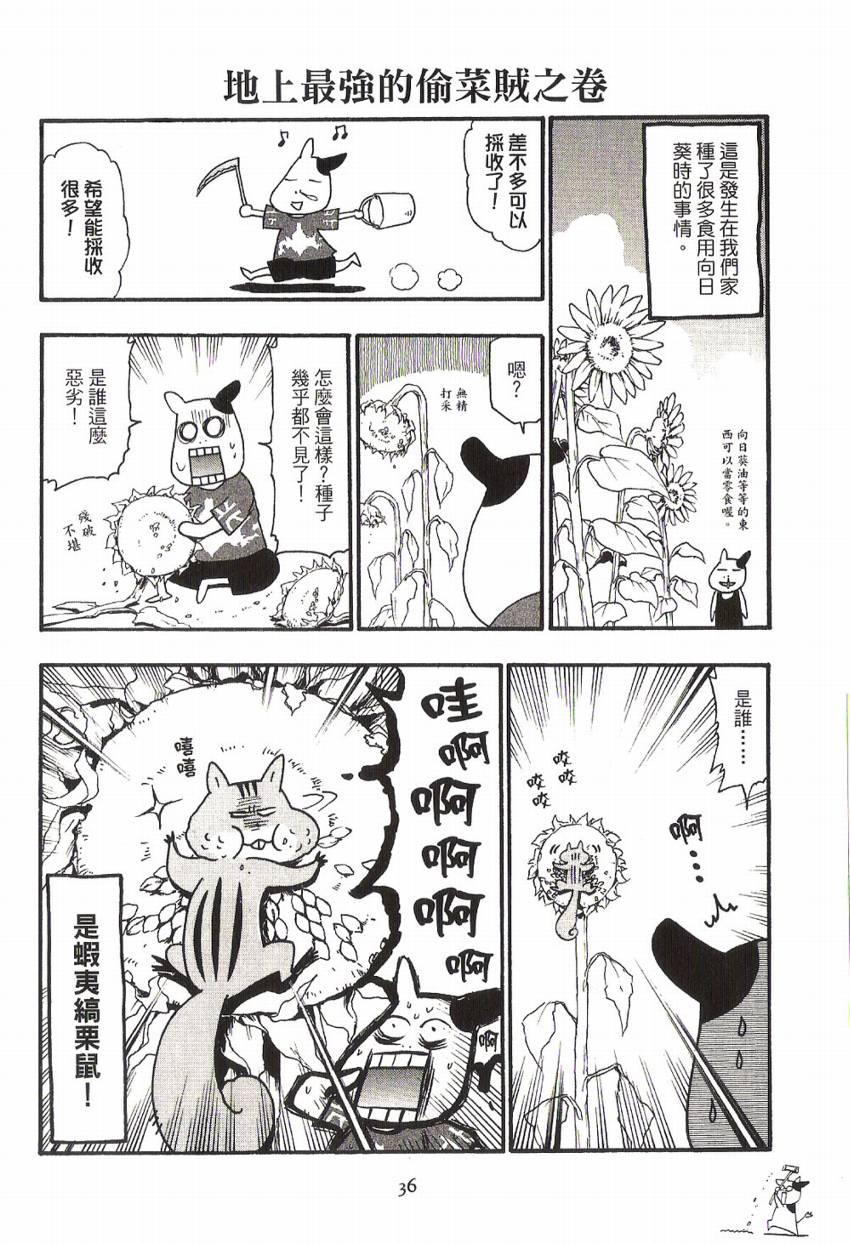 ���չ����01 (41).jpg