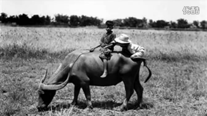 �й��ؼ� (5).JPG