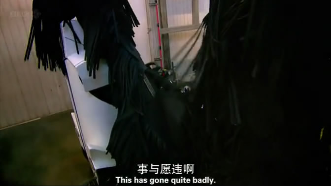 06�ù��� (26).JPG