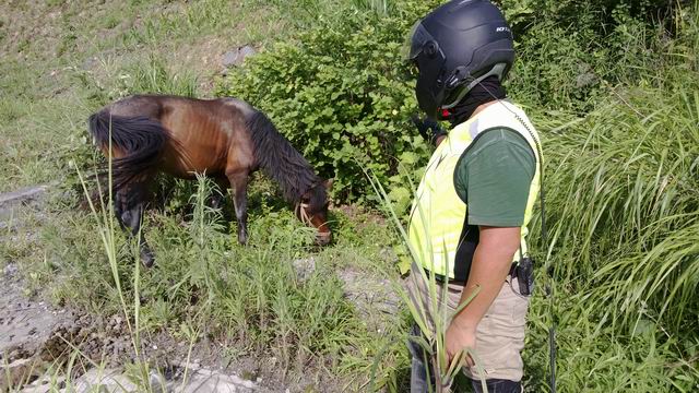 ������С WP_20130623_026.jpg