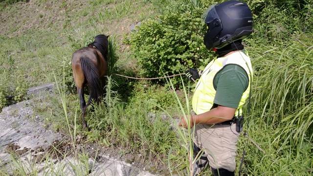 ������С WP_20130623_025.jpg