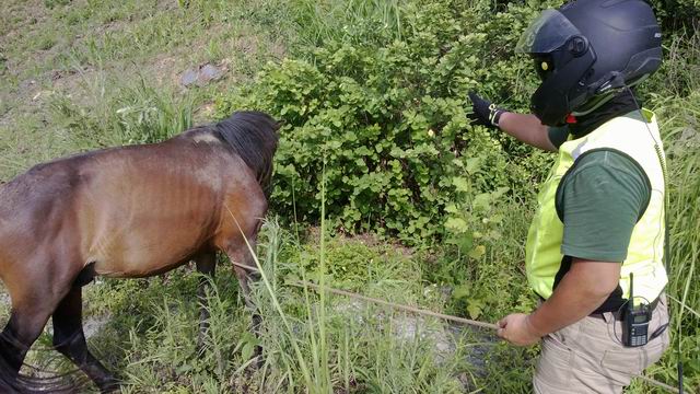 ������С WP_20130623_022.jpg