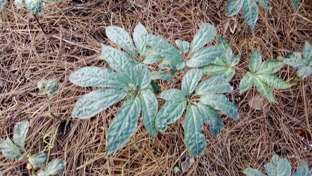 ������С WP_20130624_037.jpg