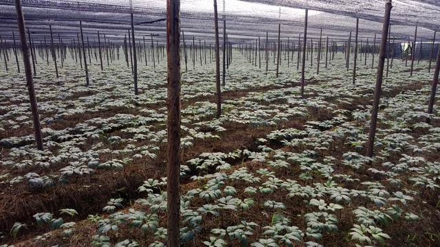 ������С WP_20130624_036.jpg