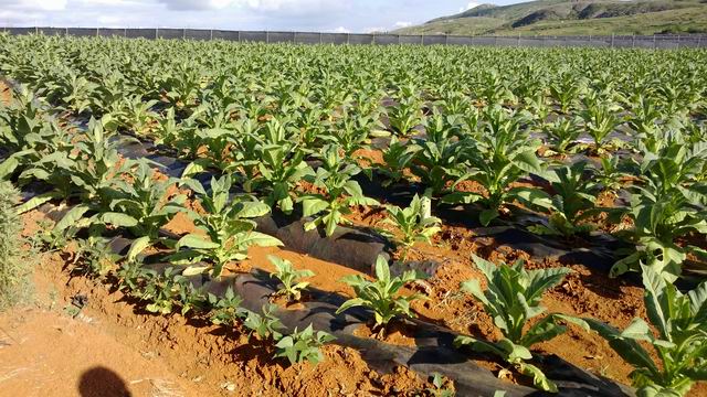 ������С WP_20130624_038.jpg