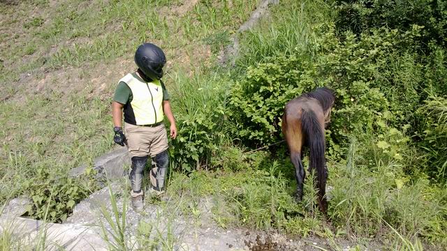 ������С WP_20130623_021.jpg