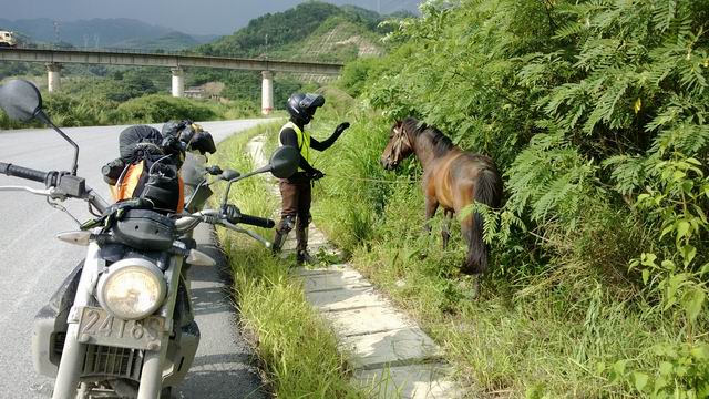 ������С WP_20130623_018.jpg