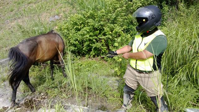 ������С WP_20130623_023.jpg