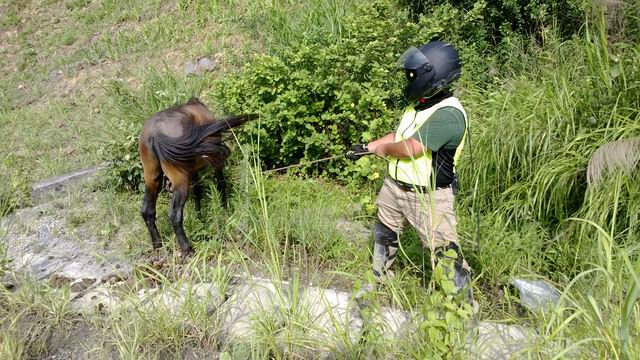 ������С WP_20130623_024.jpg