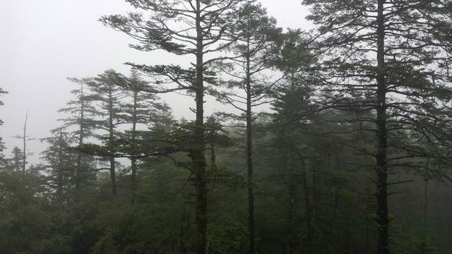 ������С WP_20130627_060.jpg