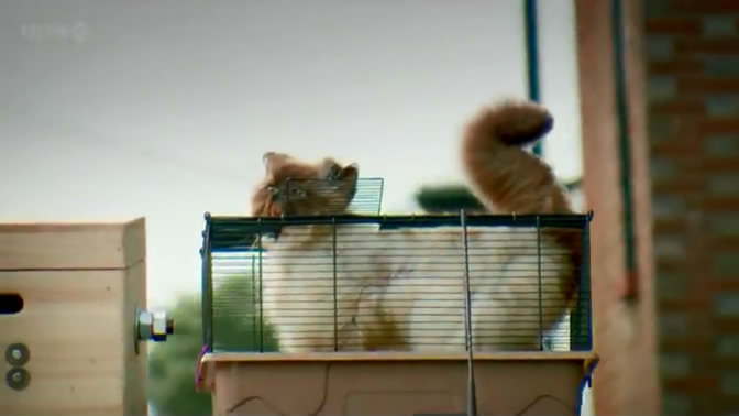 01��Ӣ�� (58).JPG