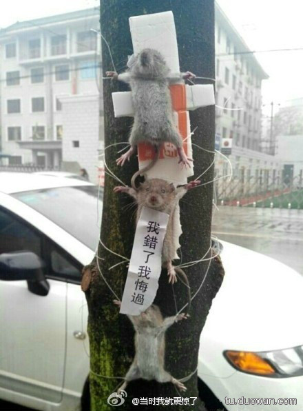 ����͵���߲˱�ץ��ʾ�ڡ� �����ȷ�����.jpg