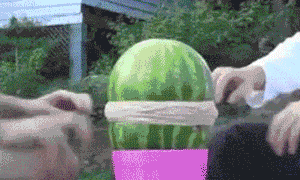 abbr_26d3873863a873b0697f73b4cee44bbc.gif