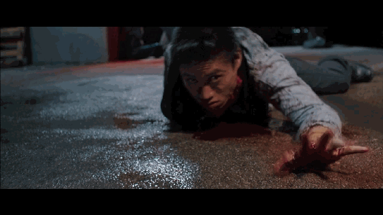 2������ (3).gif