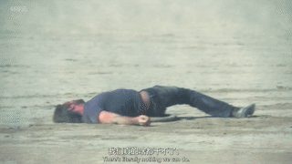 TGT01001 (244.5).gif