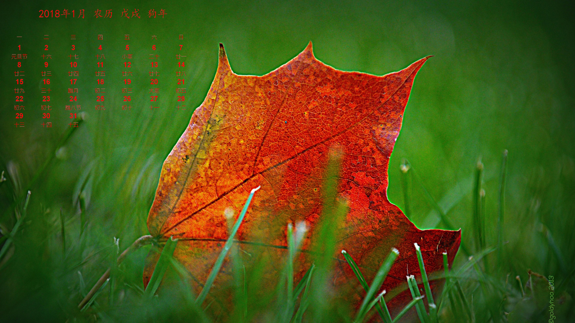 23559f8d9db38b099f24609e534b8e17 ����.jpg