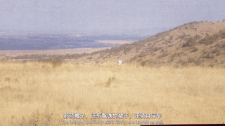 �ճ� (245.2).gif