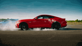 ռʿ���¶����� (76.2).gif