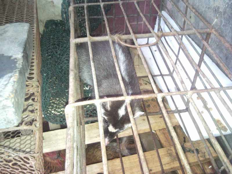 ������С 2.jpg