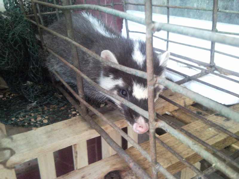 ������С 1.jpg