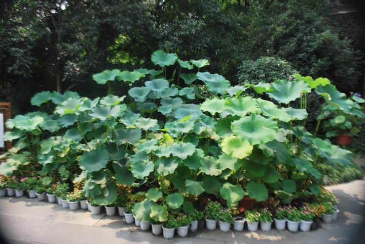 �Ÿ����� 420.jpg