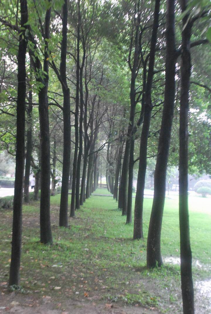 �ɶ������ϲƴ� 1008.jpg