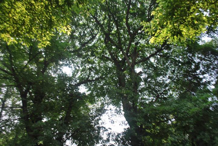 �Ÿ����� 433.jpg