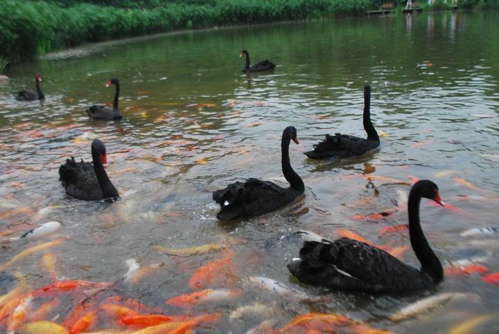 ��è���� 1047.jpg