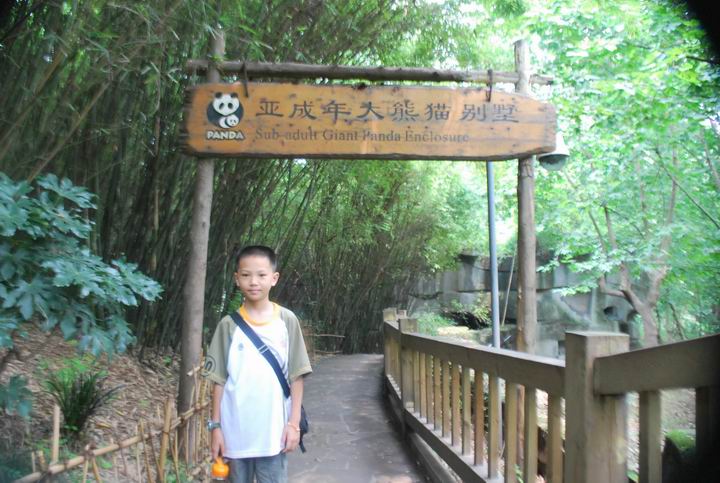 ��è���� 1052.jpg