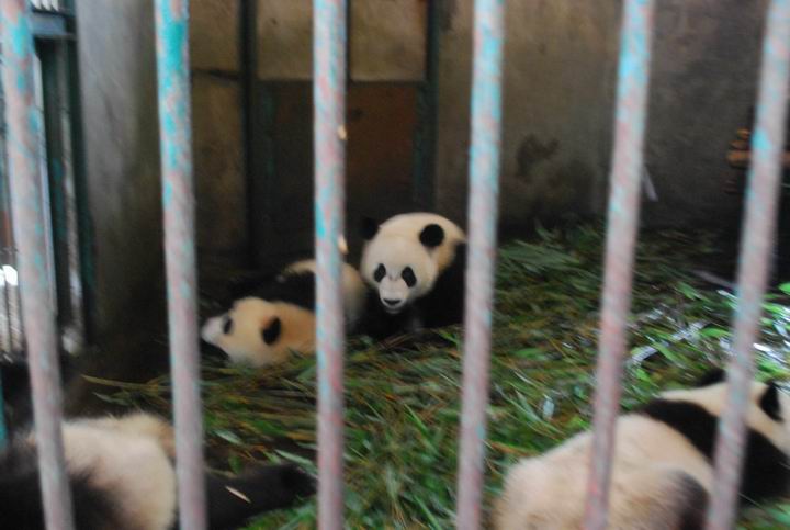 ��è���� 1050.jpg