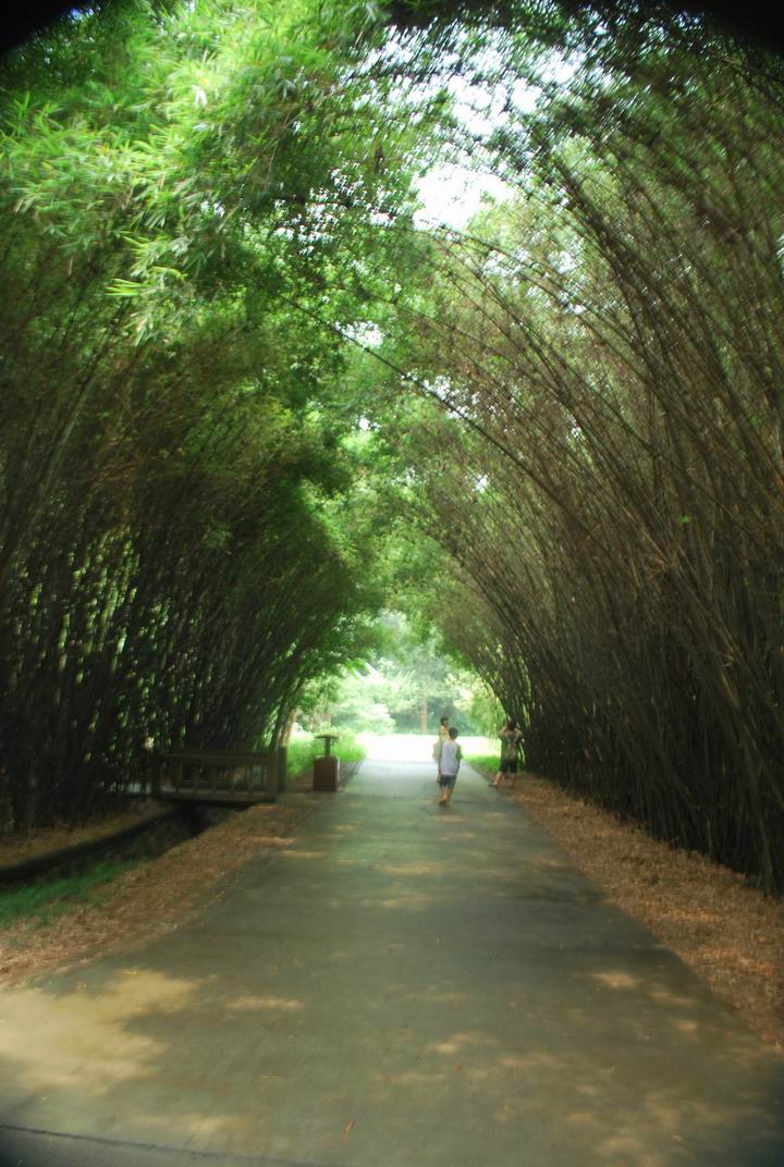 ��è���� 1048.jpg