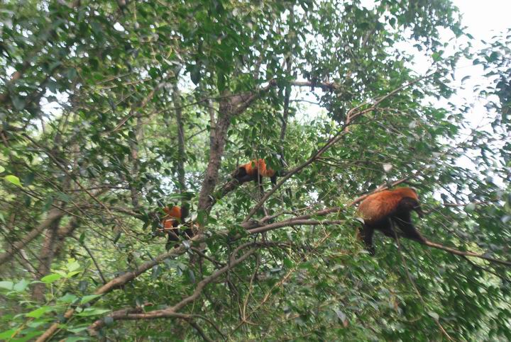 ��è���� 1053.jpg