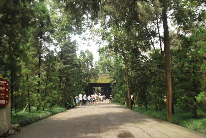 ����� 266.jpg