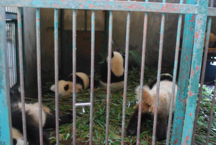 ��è���� 1049.jpg