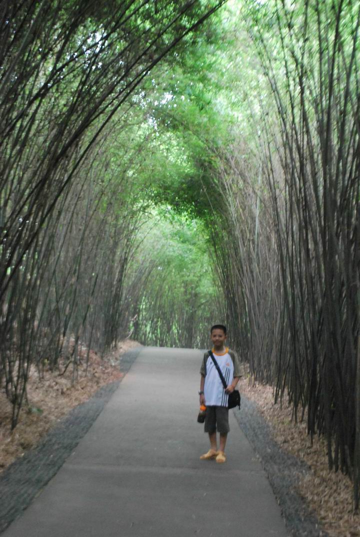 ��è���� 1051.jpg