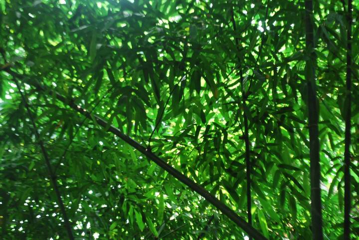 �Ÿ����� 453.jpg