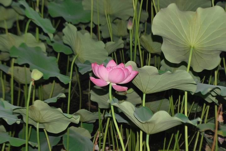 ���� 108.jpg