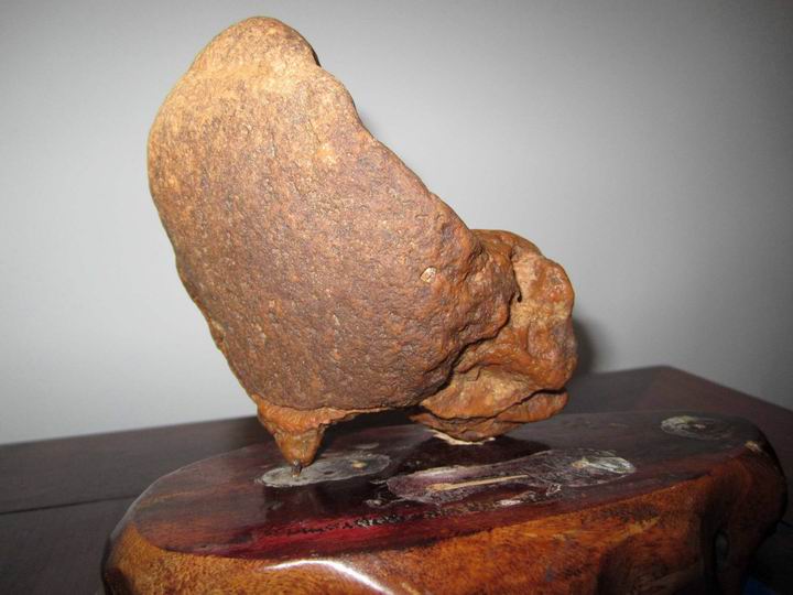 ��ʯ 020_�ݹ�.jpg