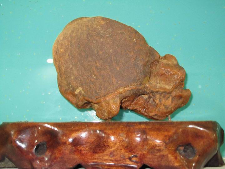 ��ʯ 005_�ݹ�.jpg