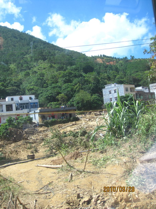 ���� 318.jpg