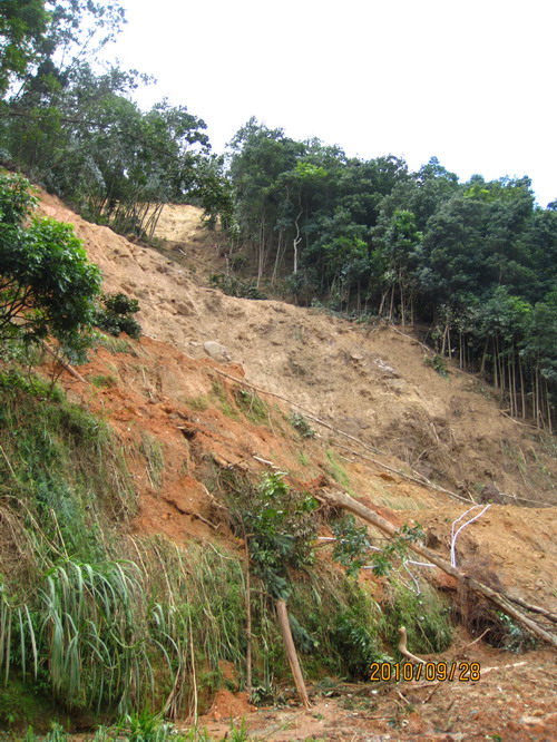 ���� 415.jpg