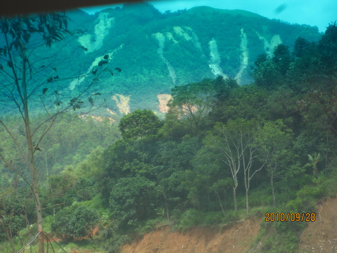 ���� 365.jpg