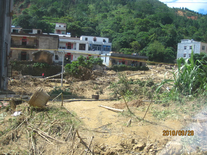 ���� 319.jpg