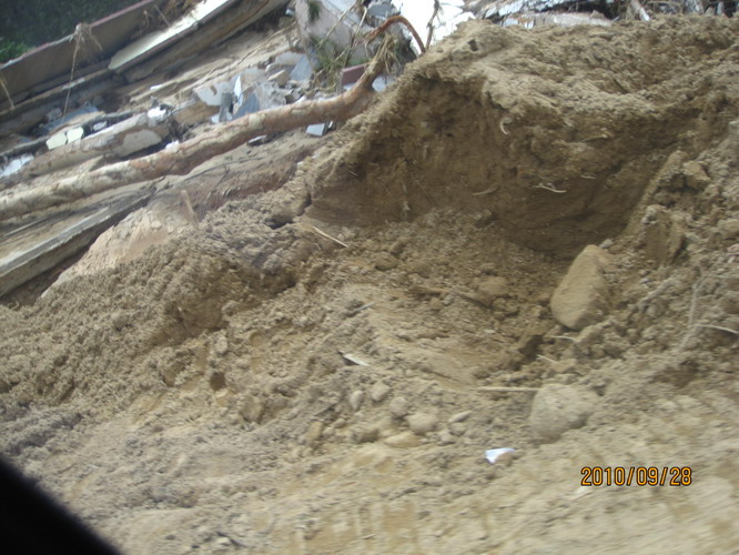 ���� 394.jpg