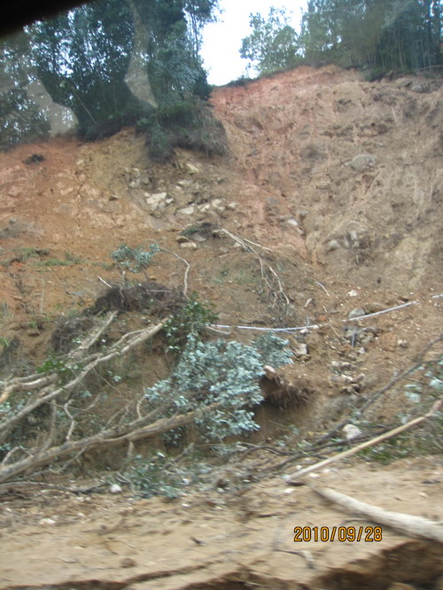 ���� 413.jpg