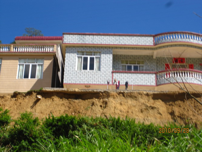 ���� 445.jpg