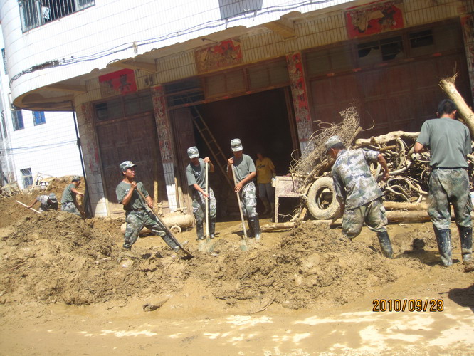 ���� 331.jpg