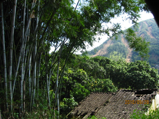 ���� 477.jpg