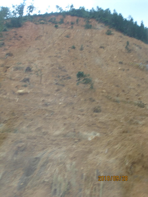 ���� 381.jpg