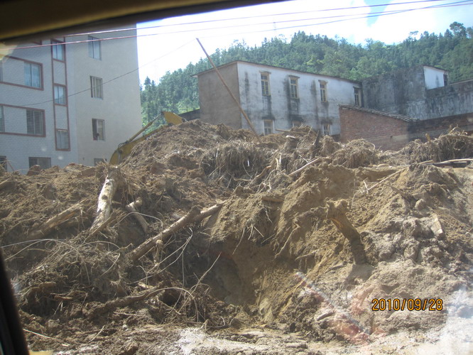 ���� 339.jpg